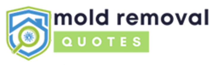 mold removal fort smith